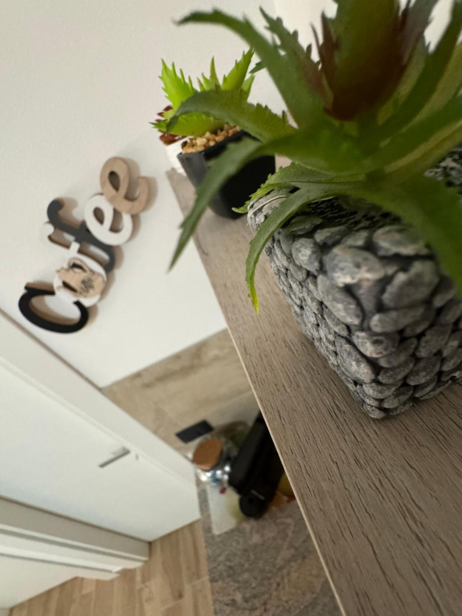 Mc Rooms Torretta  Экстерьер фото